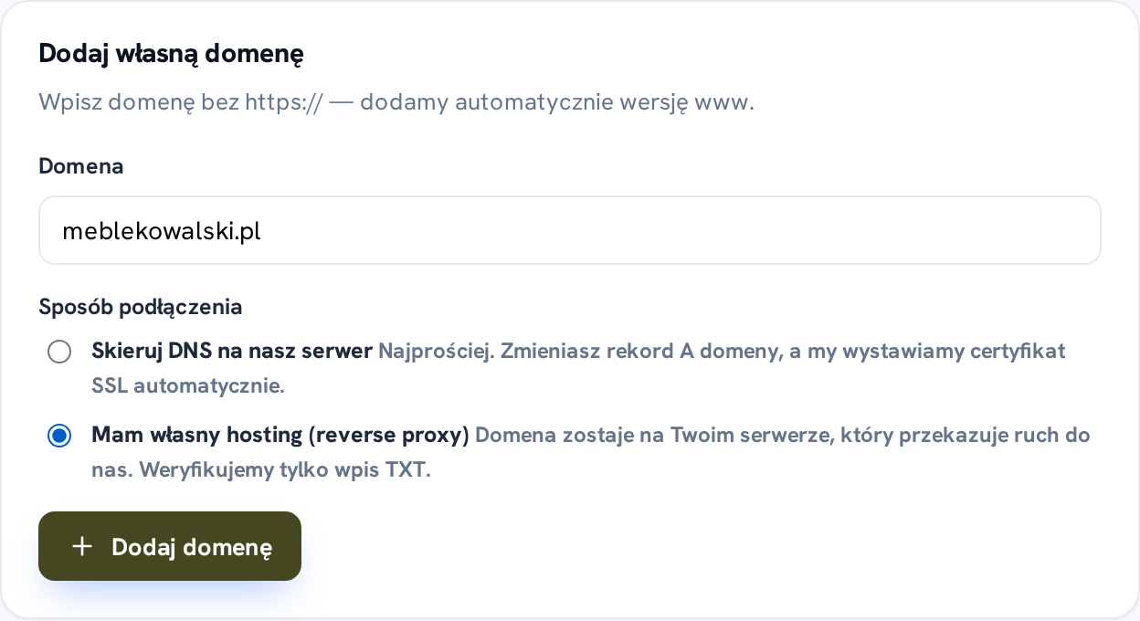 Wybór trybu podpięcia domeny: DNS albo reverse proxy